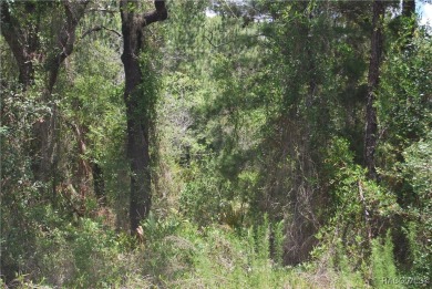 Build Your Dream Home in Sugarmill Woods! at 7 Sweetgum Court N on Sugarmill Woods Golf and Country Club in Florida - for sale on GolfHomes.com, golf home, golf lot