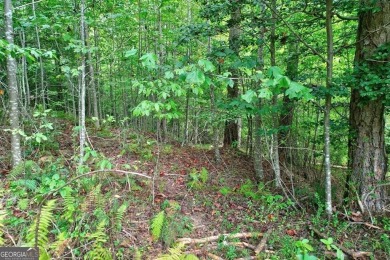 This is a rare and extremely limited opportunity-only one lot on Old Toccoa Farm Golf Club in Georgia - for sale on GolfHomes.com, golf home, golf lot