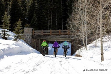 The Village at Tamarack is a pedestrian-friendly, alpine-style on Osprey Meadows at Tamarack Resort in Idaho - for sale on GolfHomes.com, golf home, golf lot