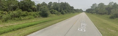 Build your DREAM HOME on this .23-ACRE LOT in an UP-AND-COMING on Sabal Trace Golf and Country Club in Florida - for sale on GolfHomes.com, golf home, golf lot