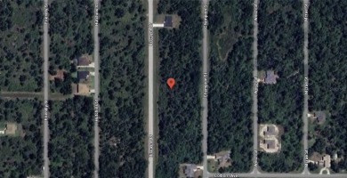 Build your DREAM HOME on this .23-ACRE LOT in an UP-AND-COMING on Sabal Trace Golf and Country Club in Florida - for sale on GolfHomes.com, golf home, golf lot