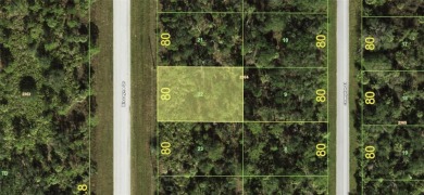 Build your DREAM HOME on this .23-ACRE LOT in an UP-AND-COMING on Sabal Trace Golf and Country Club in Florida - for sale on GolfHomes.com, golf home, golf lot