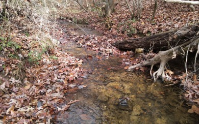 UNRESTRICTED WATER-FRONT Wooded Lot Situated in the Mountains of on Brasstown Valley Resort and Spa in Georgia - for sale on GolfHomes.com, golf home, golf lot