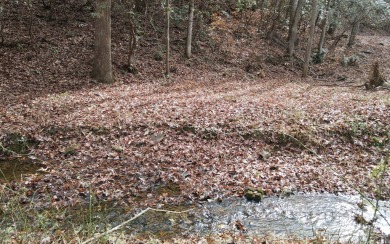 UNRESTRICTED WATER-FRONT Wooded Lot Situated in the Mountains of on Brasstown Valley Resort and Spa in Georgia - for sale on GolfHomes.com, golf home, golf lot