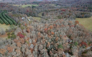 UNRESTRICTED WATER-FRONT Wooded Lot Situated in the Mountains of on Brasstown Valley Resort and Spa in Georgia - for sale on GolfHomes.com, golf home, golf lot