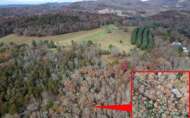 UNRESTRICTED WATER-FRONT Wooded Lot Situated in the Mountains of on Brasstown Valley Resort and Spa in Georgia - for sale on GolfHomes.com, golf home, golf lot