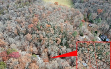 UNRESTRICTED WATER-FRONT Wooded Lot Situated in the Mountains of on Brasstown Valley Resort and Spa in Georgia - for sale on GolfHomes.com, golf home, golf lot