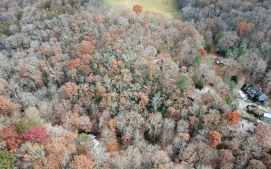 UNRESTRICTED WATER-FRONT Wooded Lot Situated in the Mountains of on Brasstown Valley Resort and Spa in Georgia - for sale on GolfHomes.com, golf home, golf lot