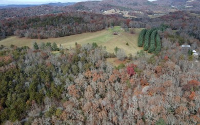 UNRESTRICTED WATER-FRONT Wooded Lot Situated in the Mountains of on Brasstown Valley Resort and Spa in Georgia - for sale on GolfHomes.com, golf home, golf lot