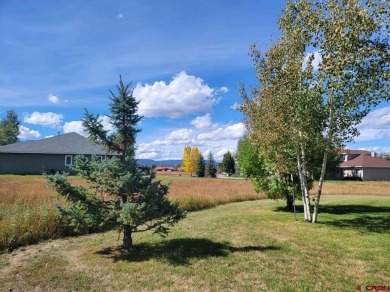 Deborah Kerns, Team Pagosa Realty Group, C: , deborah,  : Come on Pagosa Springs Golf Club in Colorado - for sale on GolfHomes.com, golf home, golf lot