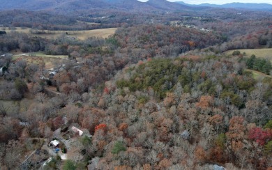 UNRESTRICTED WATER-FRONT Wooded Lot Situated in the Mountains of on Brasstown Valley Resort and Spa in Georgia - for sale on GolfHomes.com, golf home, golf lot