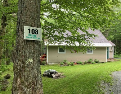 This house sits on a lot that is surrounded by common land so it on Hermitage Club Golf Course in Vermont - for sale on GolfHomes.com, golf home, golf lot