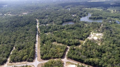 PRIME MULTI-FAMILY LOT - READY TO BUILD! NEW CONSTRUCTION ACROSS on Citrus Springs Country Club in Florida - for sale on GolfHomes.com, golf home, golf lot
