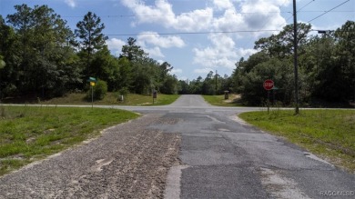 PRIME MULTI-FAMILY LOT - READY TO BUILD! NEW CONSTRUCTION ACROSS on Citrus Springs Country Club in Florida - for sale on GolfHomes.com, golf home, golf lot