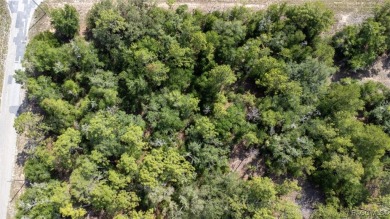 PRIME MULTI-FAMILY LOT - READY TO BUILD! NEW CONSTRUCTION ACROSS on Citrus Springs Country Club in Florida - for sale on GolfHomes.com, golf home, golf lot