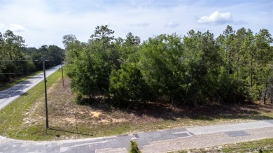 PRIME MULTI-FAMILY LOT - READY TO BUILD! NEW CONSTRUCTION ACROSS on Citrus Springs Country Club in Florida - for sale on GolfHomes.com, golf home, golf lot
