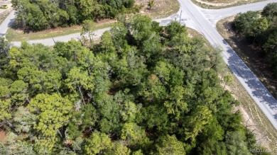 PRIME MULTI-FAMILY LOT - READY TO BUILD! NEW CONSTRUCTION ACROSS on Citrus Springs Country Club in Florida - for sale on GolfHomes.com, golf home, golf lot