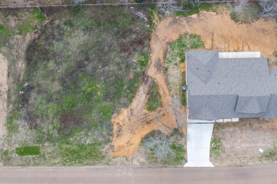 Ask us about owner finance option. Discover the perfect canvas on Cedar Creek Country Club in Texas - for sale on GolfHomes.com, golf home, golf lot