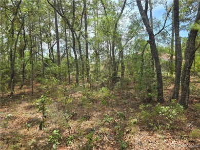 Great opportunity to own a homesite in the fast-growing on Pine Ridge Community Golf and Country Club in Florida - for sale on GolfHomes.com, golf home, golf lot