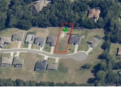 Welcome to one of the most sought-after homesites in the on Skyview At Terra Vista Golf and Country Club in Florida - for sale on GolfHomes.com, golf home, golf lot