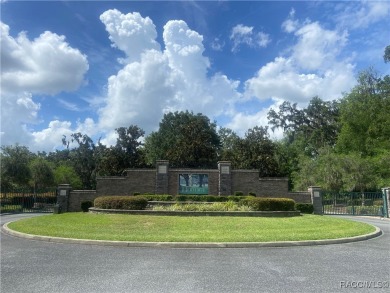 Welcome to one of the most sought-after homesites in the on Skyview At Terra Vista Golf and Country Club in Florida - for sale on GolfHomes.com, golf home, golf lot