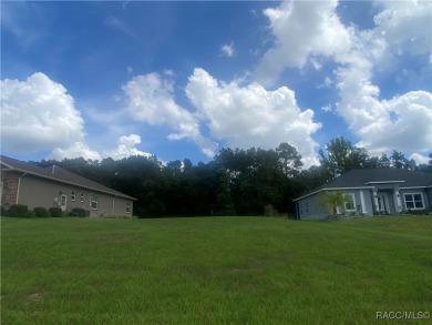 Welcome to one of the most sought-after homesites in the on Skyview At Terra Vista Golf and Country Club in Florida - for sale on GolfHomes.com, golf home, golf lot