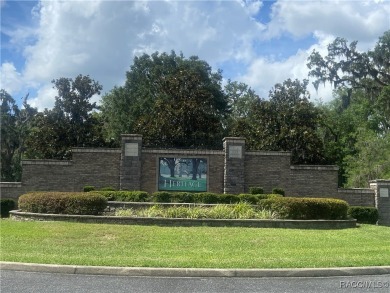 Welcome to one of the most sought-after homesites in the on Skyview At Terra Vista Golf and Country Club in Florida - for sale on GolfHomes.com, golf home, golf lot