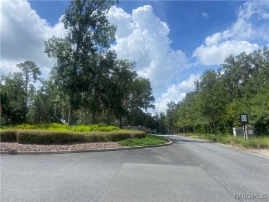 Welcome to one of the most sought-after homesites in the on Skyview At Terra Vista Golf and Country Club in Florida - for sale on GolfHomes.com, golf home, golf lot