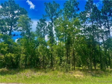 Build Your Dream Home in Cypress Village, Sugarmill Woods on Sugarmill Woods Golf and Country Club in Florida - for sale on GolfHomes.com, golf home, golf lot