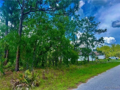 Build Your Dream Home in Cypress Village, Sugarmill Woods on Sugarmill Woods Golf and Country Club in Florida - for sale on GolfHomes.com, golf home, golf lot