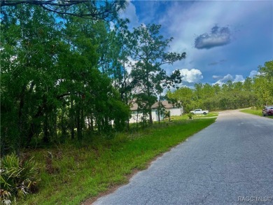 Build Your Dream Home in Cypress Village, Sugarmill Woods on Sugarmill Woods Golf and Country Club in Florida - for sale on GolfHomes.com, golf home, golf lot