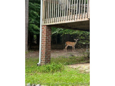 **A Must-See Gem in the Gated Community of Carolina Trace!** on Carolina Trace Country Club in North Carolina - for sale on GolfHomes.com, golf home, golf lot