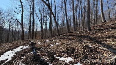 If you are thinking of building in Wolf Laurel this is the lot on Wolf Laurel Country Club in North Carolina - for sale on GolfHomes.com, golf home, golf lot