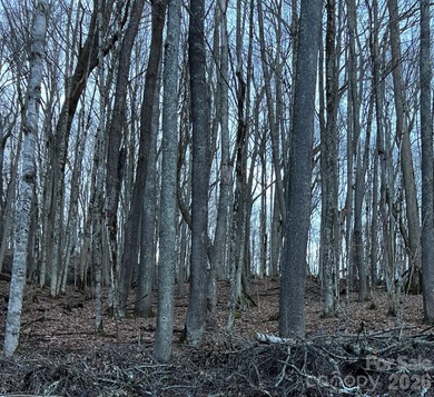 If you are thinking of building in Wolf Laurel this is the lot on Wolf Laurel Country Club in North Carolina - for sale on GolfHomes.com, golf home, golf lot