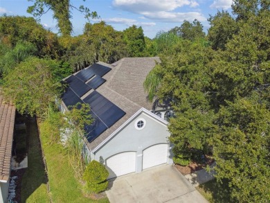 Welcome to 372 Hinsdale Dr, located in DeBary Plantation, home on DeBary Golf and Country Club in Florida - for sale on GolfHomes.com, golf home, golf lot