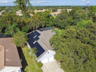 Welcome to 372 Hinsdale Dr, located in DeBary Plantation, home on DeBary Golf and Country Club in Florida - for sale on GolfHomes.com, golf home, golf lot