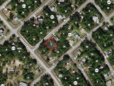 Buildable homesite in Citrus Springs offering an excellent on Citrus Springs Country Club in Florida - for sale on GolfHomes.com, golf home, golf lot