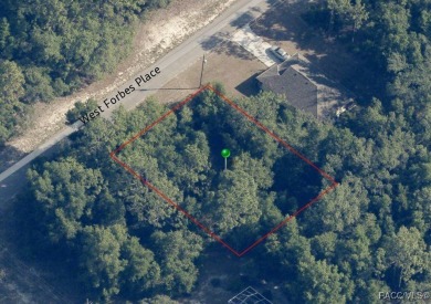 Buildable homesite in Citrus Springs offering an excellent on Citrus Springs Country Club in Florida - for sale on GolfHomes.com, golf home, golf lot