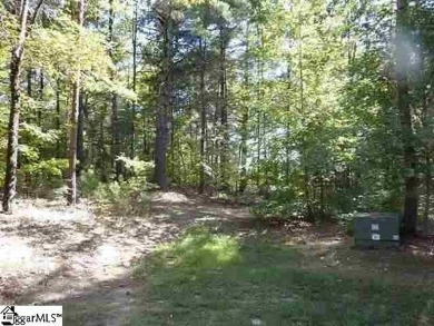 Incredible opportunity to build your dream home in the on The Cliffs At Keowee Vineyards Golf Club in South Carolina - for sale on GolfHomes.com, golf home, golf lot
