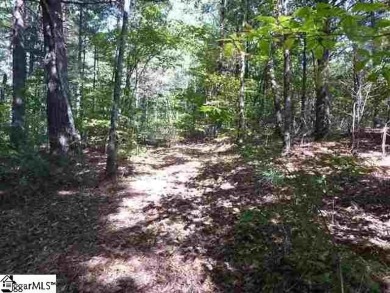 Incredible opportunity to build your dream home in the on The Cliffs At Keowee Vineyards Golf Club in South Carolina - for sale on GolfHomes.com, golf home, golf lot