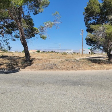 Prime Commercial Property! Right on the boulevard, with on Tierra Del Sol Golf Course in California - for sale on GolfHomes.com, golf home, golf lot