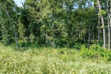 Resort style living at its finest! This double estate lot is the on Eagles Bluff Golf Course in Texas - for sale on GolfHomes.com, golf home, golf lot