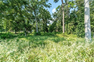 Resort style living at its finest! This double estate lot is the on Eagles Bluff Golf Course in Texas - for sale on GolfHomes.com, golf home, golf lot