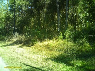 THIS LAND MUST BE SOLD WITH PARCEL#20E19S2900100 03090 0820.
 on Inverness Golf & Country Club in Florida - for sale on GolfHomes.com, golf home, golf lot