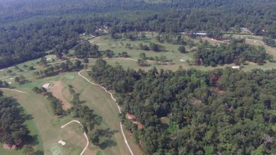 Totally renovated ranch house in Sherwood Forest ! Brick walls on Glen Arven Country Club in Georgia - for sale on GolfHomes.com, golf home, golf lot