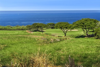 The Motivated Seller!Located on the Kona Coast of Hawaii Island on Club At Hokulia in Hawaii - for sale on GolfHomes.com, golf home, golf lot