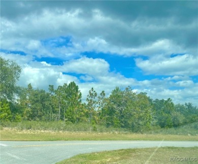 Perfect Retirement Opportunity - 5 VACANT HOMESITES IN SUNNY on Sunny Hills Golf and Country Club in Florida - for sale on GolfHomes.com, golf home, golf lot