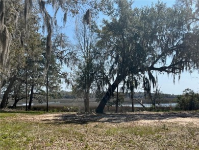 Panoramic Sweeping Views - 1 acre homesite overlooking the on Sapelo Hammock Golf Club in Georgia - for sale on GolfHomes.com, golf home, golf lot