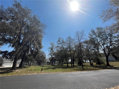 Panoramic Sweeping Views - 1 acre homesite overlooking the on Sapelo Hammock Golf Club in Georgia - for sale on GolfHomes.com, golf home, golf lot