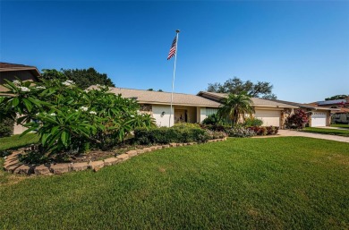 Welcome to this hidden gem right in the heart of Countryside! on Countryside Country Club in Florida - for sale on GolfHomes.com, golf home, golf lot